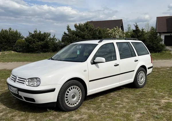 volkswagen Volkswagen Golf cena 6700 przebieg: 238500, rok produkcji 2002 z Wieleń